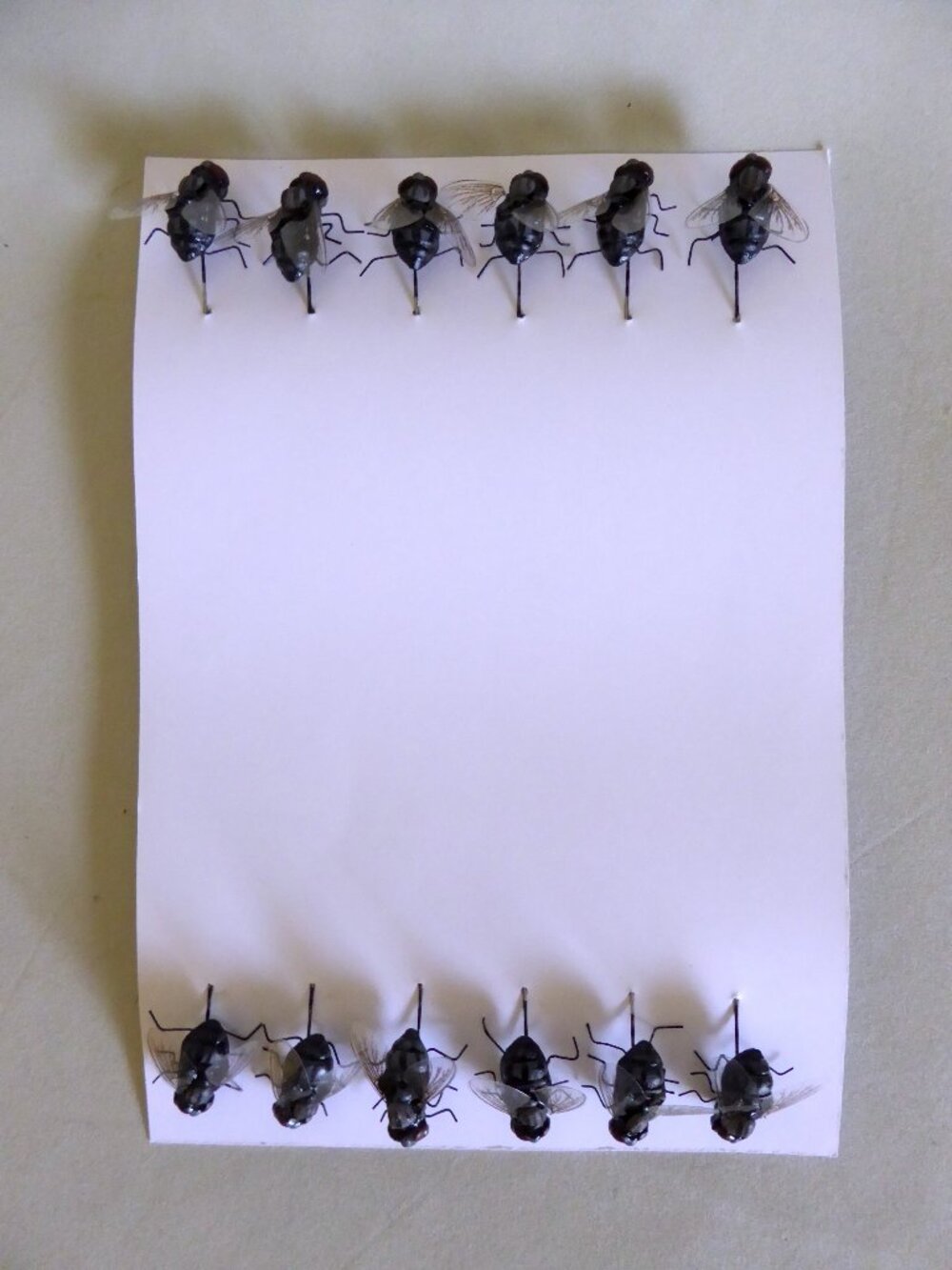 NEW .75” REALISTIC FAKE FLIES 12 QTY HOUSE FLIES CRAFTS HALLOWEEN HORROR PROPS